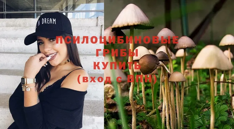 Галлюциногенные грибы MAGIC MUSHROOMS  где купить   Духовщина 